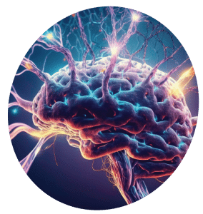 chapter-3-hero-neuro_muscular_