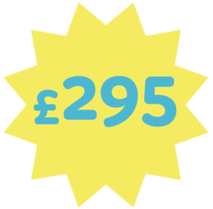 295-badge
